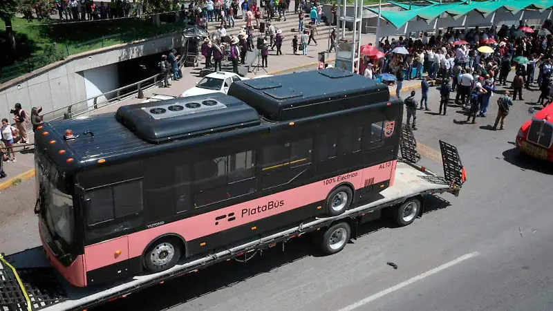 Platabús en plaza bicentenario